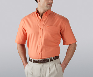 Short-sleeve Nailshead Shirt